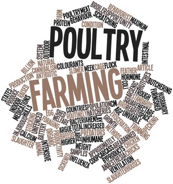 Word cloud for Poultry farming