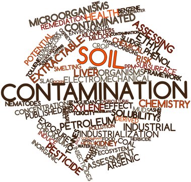 Word Cloud For Soil Contamination