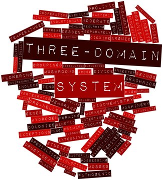 Word cloud for Three-domain system