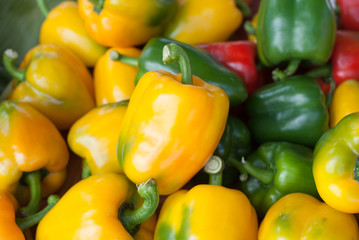 Paprika