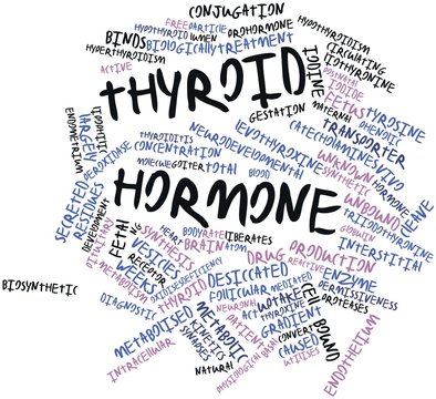 Word cloud for Thyroid hormone