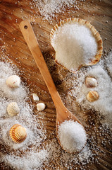 salt and shell from sea © Stelios Filippou