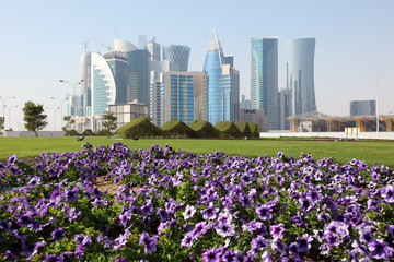 Fleurs dans le centre-ville de Doha, Qatar, Moyen-Orient