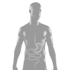 Fototapeta premium Silhouette junges Mannes mit Magen-Darm-Trakt