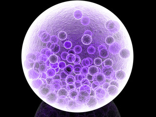 mauve cells under microscope