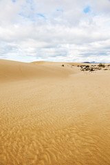 Fototapeta na wymiar Wydmy na Fuerteventura
