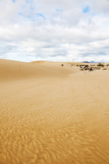 Dünen auf Fuerteventura