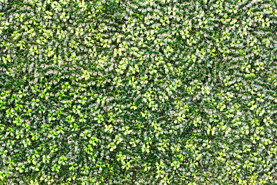 Artificial leaf background