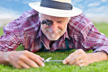 Close up of senior gardener cutting grass 4