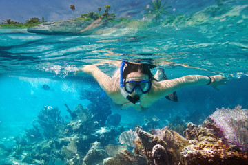 Jeunes femmes à la plongée en apnée dans l& 39 eau tropicale
