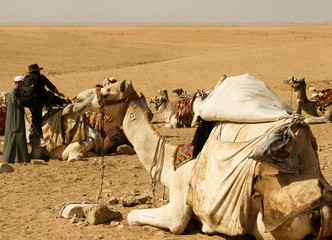 Fototapeta premium Deserto