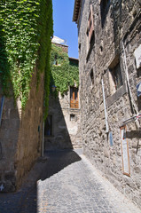 Obraz premium Alleyway. Viterbo. Lazio. Italy.