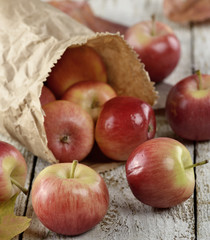 Apples In A Paper Bag