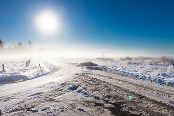 winter landscape at fog  with road - obrazy, fototapety, plakaty