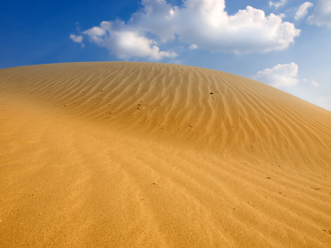 Sand Dunes Landscape © Željko Radojko