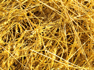 straw background