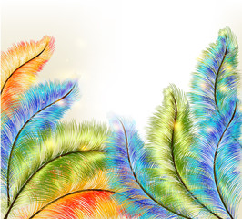 Abstract clear background with colorful vector ferns