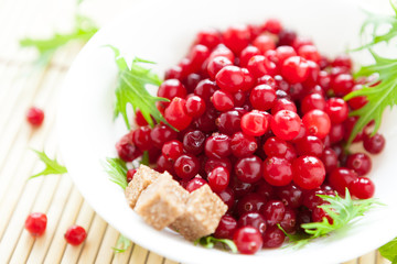 Fresh cranberries in a white bowl