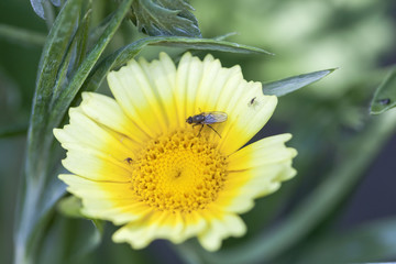 Everybody eating....