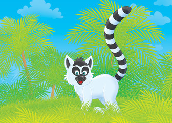 Madagascan ring-tailed lemur in a tropical forest © Alexey Bannykh