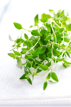 Thyme herb on white tablecloth