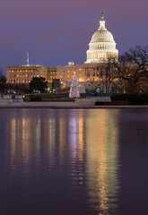 Christmas tree in front of Capitol Washington DC