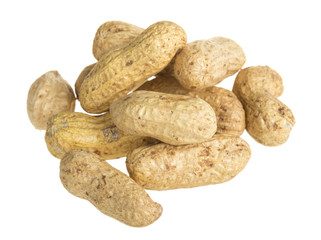 close up of peanut
