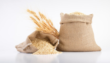 Wheat ears and sack of wheat grains isolated on white