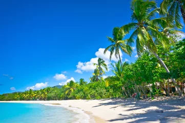 Fotobehang Prachtig strand in Saint Lucia, Caribische eilanden © MF