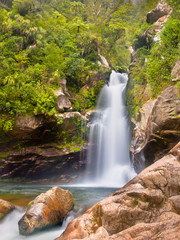 Rainforest waterfall New Zealand
