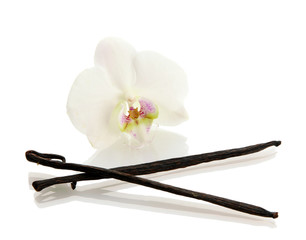 Vanilla pods with flower isolated on white