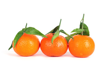 3 Mandarinen