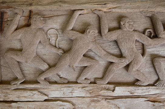 The Carving wood of monkey