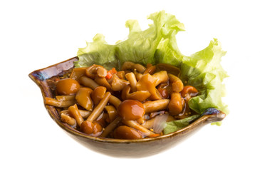 agaric honey at plate