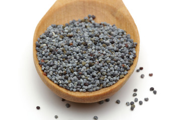 Poppy seed