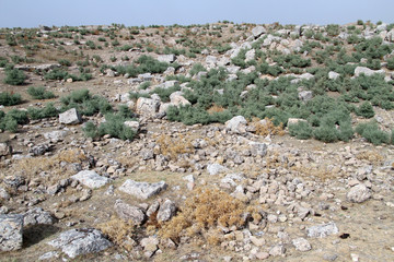 Desert and ruins