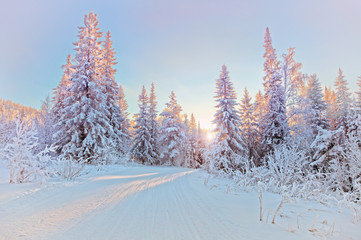 winter landscape