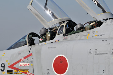 Obraz premium ファントム