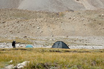 Camp in Archa-Kanysh valley in Pami, Kyrgyzstan - obrazy, fototapety, plakaty