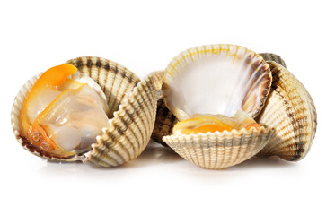 Berberechos en sus conchas.