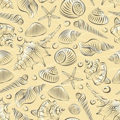 Seamless pattern with different sea shells
