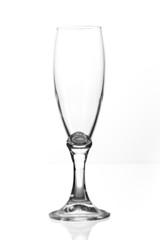 Wine glass