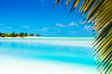 Beautiful Tropical Lagoon with palm tree framing shot