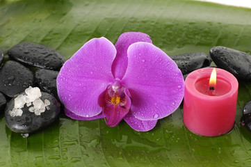 Macro of pink orchid and burning candle