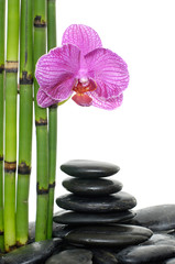 Obraz na płótnie Canvas Spa still life with bamboo stem and orchid