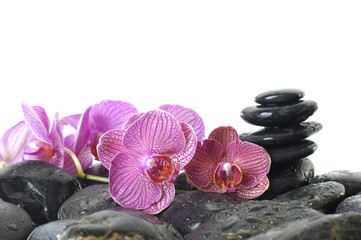 Therapy tower of stones with orchid flower with water drops