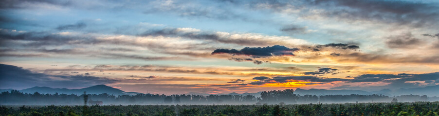 Andalusian Dawn, Spain