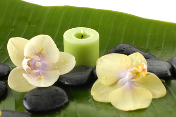 Green candle and orchid ,black stones on banana leaf