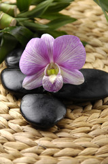 Macro of pink orchid on woven bamboo