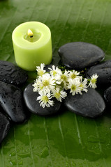 Green still life- -white flower and zen stones with green leaf